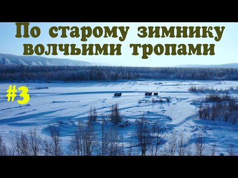 Видео: Волчьмими тропами, по старому зимнику
