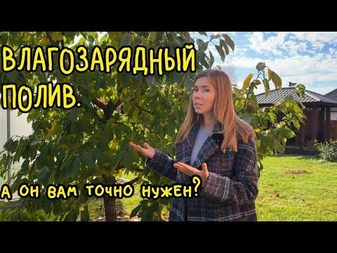 Видео: ВЛАГОЗАРЯДНЫЙ ПОЛИВ ОСЕНЬЮ. Как определить, что он нужен вашему саду