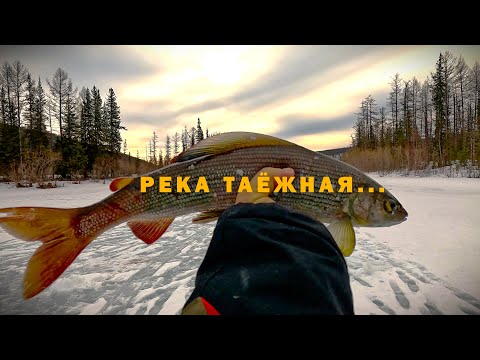 Видео: РЕКА ТАЁЖНАЯ...