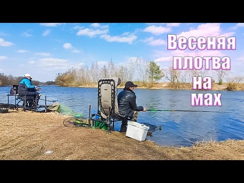 Видео: Ловля весенней плотвы на поплавок. Плотва на маховую удочку. Ловля плотвы ранней весной на канале.