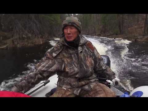 Видео: Весна. Сезон охоты на уток. #217 (04.05.2017)