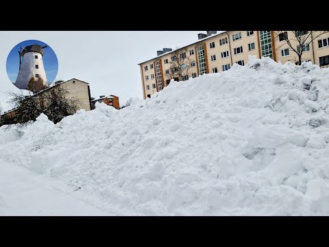 Видео: Эстония. Коротко о разном. Новости о содержании животных и как собрать на работу мужа.