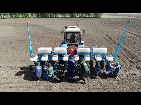 Видео: День поля онлайн: СибАгроЦентр и КФХ Наука.