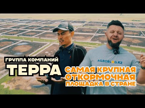 Видео: Самая крупная откормочная площадка в стране