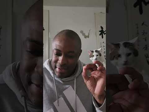 Видео: Соответствие энергии – это всё о химии