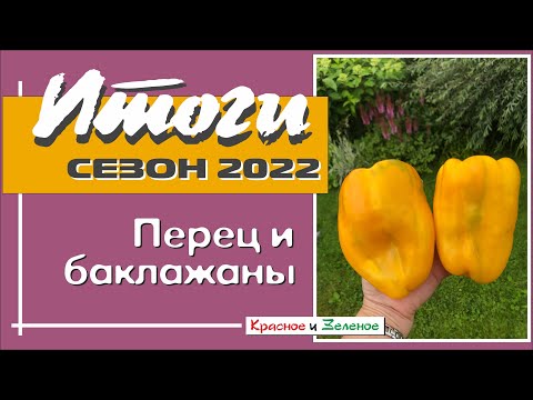 Видео: Перец и баклажаны. Итоги сезона 2022