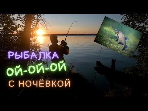 Видео: РЫБАЛКА с НОЧЕВКОЙ осенью. Песня у КОСТРА и фидер так не сможет.