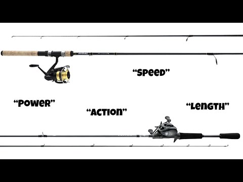 Видео: Объяснение удочек (все, что вам нужно знать)