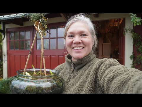 Видео: Создание мини-зимних садов для дома | Мои бессвязные мысли дня.