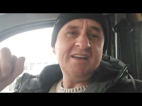 Видео: Вкусив собака,що робити.