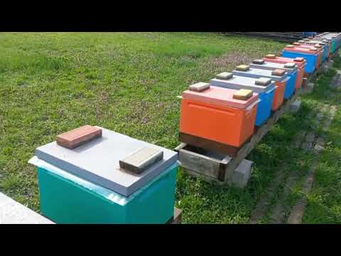 Видео: Банк Маток-Развязка!!!