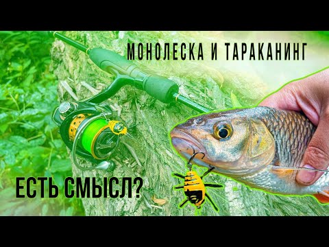 Видео: Монолеска и Тараканинг. Есть смысл?