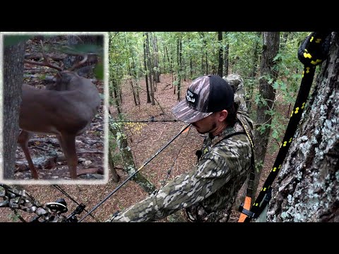 Видео: Первый олень 2025 года! Охота с луком в Северной Джорджии