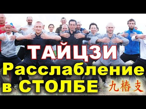 Видео: Расслабление в столбе. "9 столбовых опор" (цзю чжуанчжи 九樁支). Тайцзи ВЕТЕР-ГРОМ