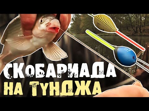 Видео: СКОБАРИАДА на р. Тунджа