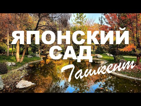 Видео: Скрытые Смыслы Японского Сада в Ташкенте | Ваби-саби, Кои и Дзен