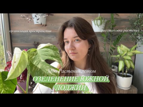 Видео: Вместе озеленяем Лоджию | размещение растений на южной стороне | подвесы, новый стеллаж