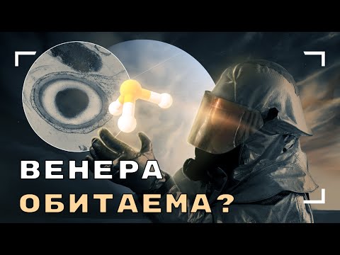 Видео: Почему Венера всё-таки может быть обитаема? Feat. Евгений Щербаков