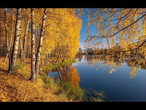 Видео: РЫБАЛКА ОСЕНЬ 2019 БАЛАШИХА
