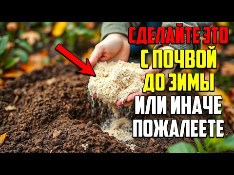 Видео: Всего Одно Действие Осенью, Которое Удвоит Ваш Будущий Урожай!