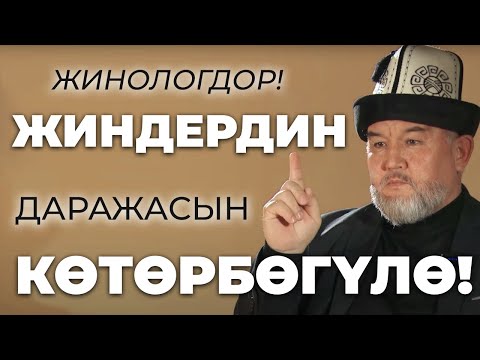 Видео: ЖИНОЛОГДОР! ЖИНДЕРДИН ДАРАЖАСЫН КӨТӨРБӨГҮЛӨ! | КУБАНЫЧБЕК МАТАЙ УУЛУ