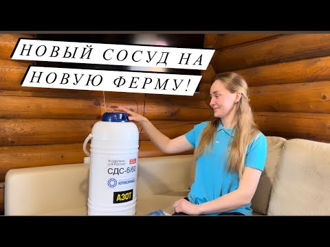 Видео: Купили разрушенную ферму с землями! То о чем молчали полгода!