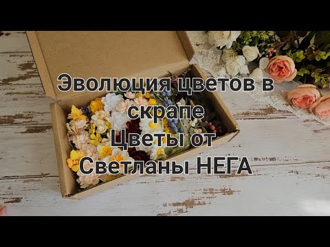 Видео: С чем начинался мой скрап и к чему пришла. Потрясающие цветы от Светланы Нега #скрапбукинг