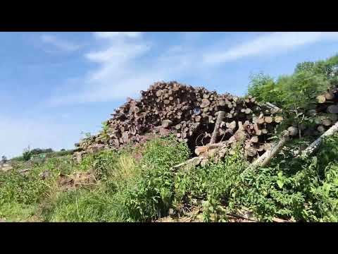 Видео: Прогулянка на велосипеді по Німецьких Селах,🚲🚲🚲
