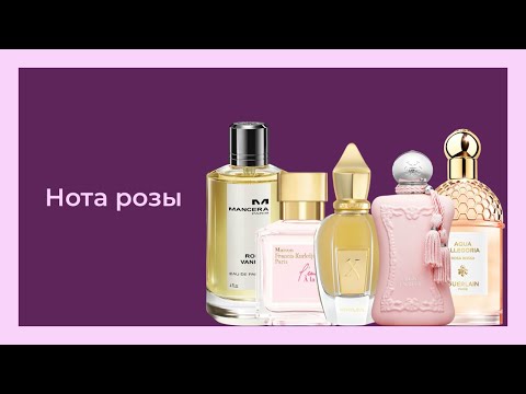 Видео: ЛЮБИМЫЕ И НЕ ОЧЕНЬ РОЗЫ