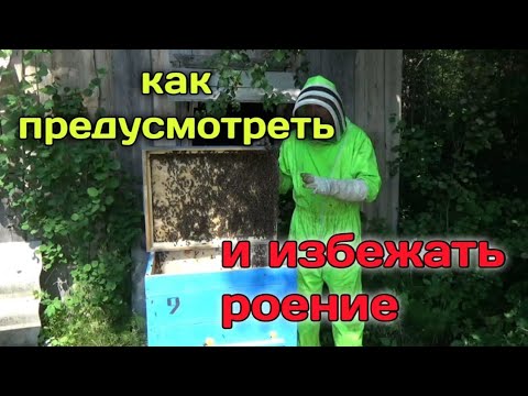 Видео: Как предупредить роение и как его остановить/обзор прекрасной палатки УП-1 AltaiCamp(AЛТАЙ КЕМП)