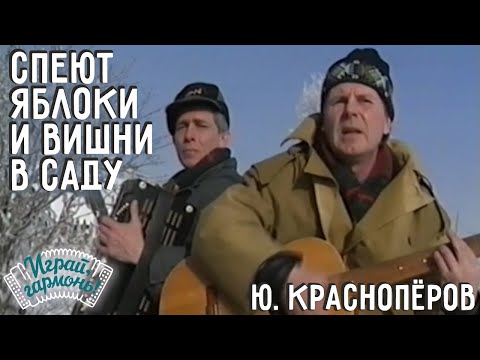 Видео: Играй, гармонь! | Юрий Краснопёров и Владимир Кондаков | Спеют яблоки и вишни в саду...(«Соседи»)