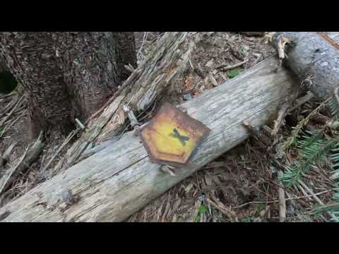 Видео: неФилософско сБъдване на 2-3 мечТи - 17 Август 2025