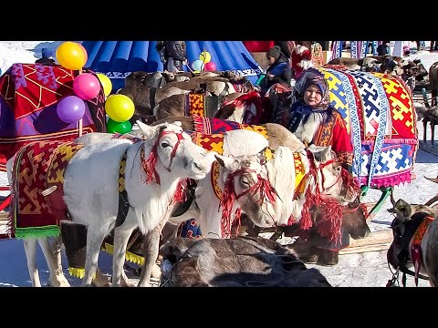 Видео: Ямал. Жизнь Сынских и Приуральских кочевников | Северный колорит