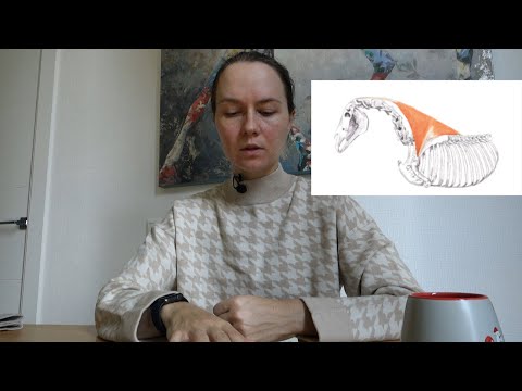 Видео: ЗАПИСЬ LIVE. Атрофия линии верха и седло