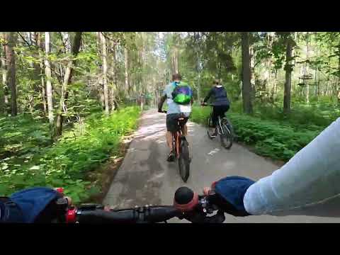 Видео: вело прогулка по лесу, велопокатушка, релакс, летний лес, для велостанка