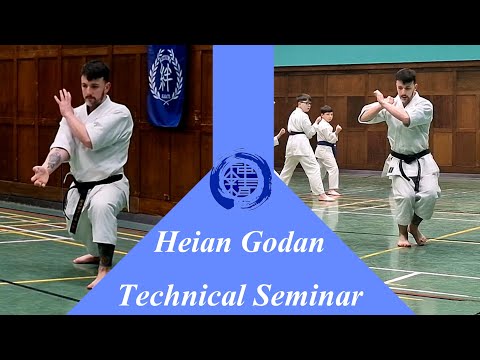 Видео: Хэйан Годан - Семинар Шотокан