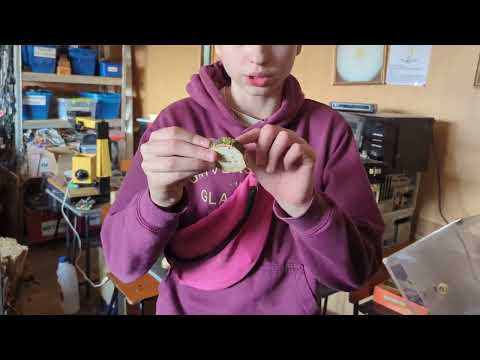 Видео: Сантехнический бит, человечек, колонки с усилителем