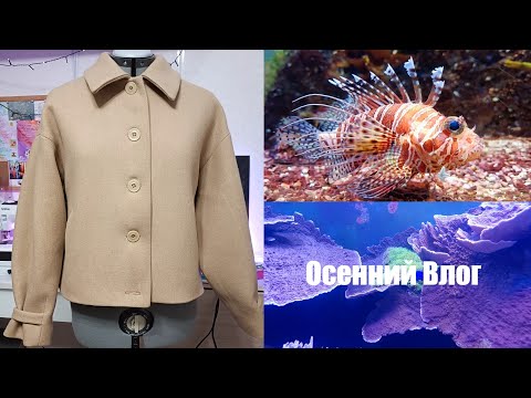 Видео: ОСЕННИЙ ВЛОГ I Поход в океанариум I БУБЛИК I