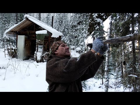 Видео: На угодьях открыл капканы.