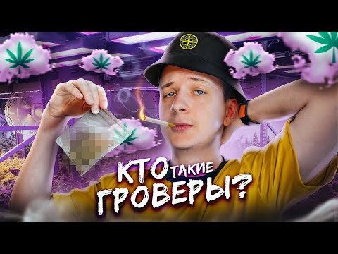 Видео: Кто такие Гроверы?