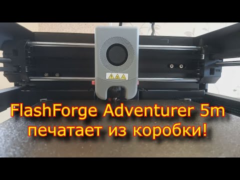 Видео: FlashForge Adventurer 5m , принтер, который печатает из КОРОБКИ!!!