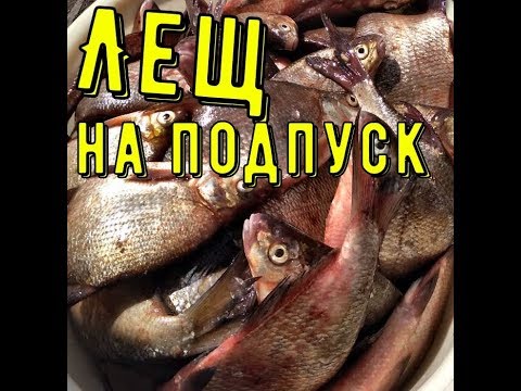 Видео: Ловля леща на подпуск(на кольцо)