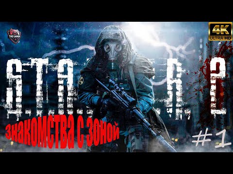 Видео: Знакомства с зоной ➤ S.T.A.L.K.E.R. 2: Heart of Chornobyl ➤ #1