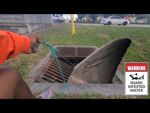 Видео: Я НАШЕЛ КАНАЛИЗАЦИОННОГО МОНСТРА!