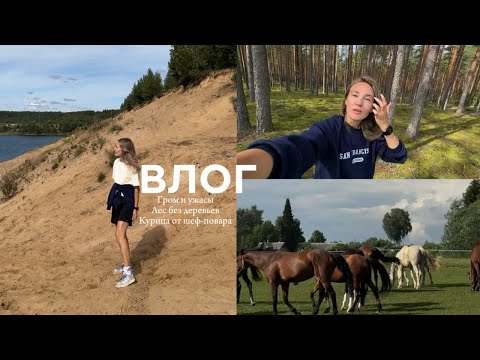 Видео: Загородная жизнь. Гром и ужасы. Лес без деревьев. Курица от шеф-повара.