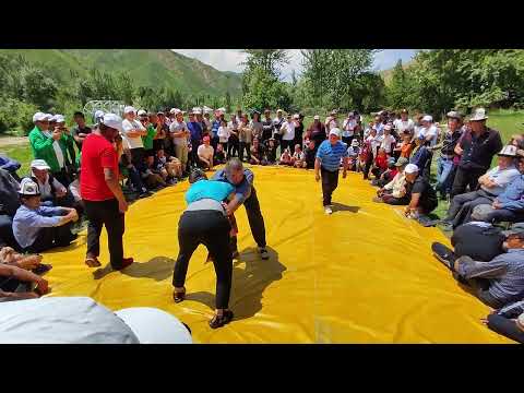 Видео: АЛАЙ / КОРУЛ / КЕН ЖЫЛГА / 2022-ЖЫЛ / 9-ИЮНЬ /