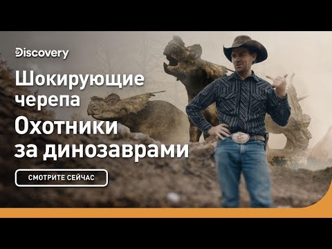Видео: Шокирующие черепа | Охотники за динозаврами | Discovery