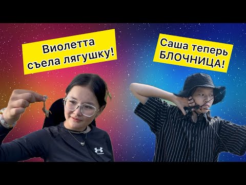 Видео: ЧТО ПРОИСХОДИТ?! В Питере все с ума сходят! Виолетта съела лягушку, Саша теперь блок?!