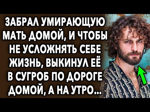 Видео: Забрал ее домой, и что бы не усложнять себе жизнь, выкинул по дороге в сугроб, а на утро…