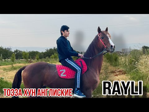 Видео: Аспи пойгаҳ аз конезавод 14 ноября 2025 г.